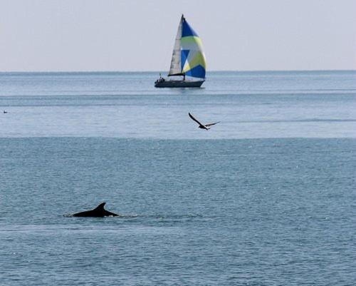 B&B Attico Mare San Benedetto del Tronto Zewnętrze zdjęcie
